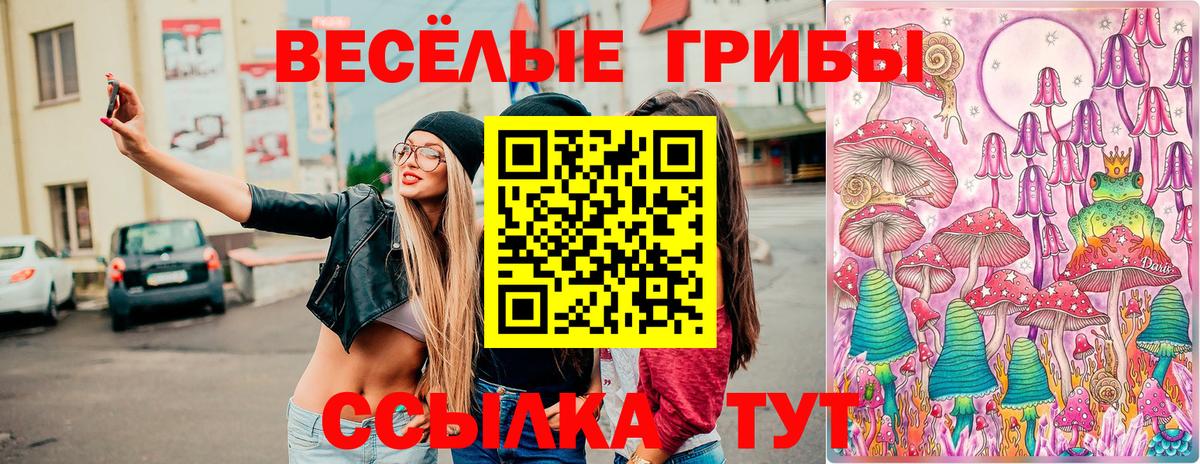 Псилоцибиновые грибы мухоморы  Галлюциногенные грибы Psilocybine cubensis  Вход с VPN  Будённовск 