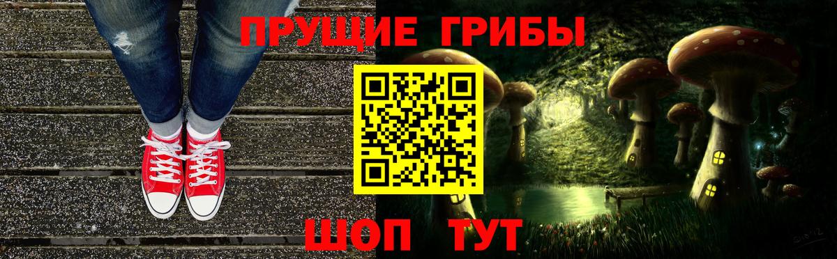 Галлюциногенные грибы Psilocybine cubensis Будённовск